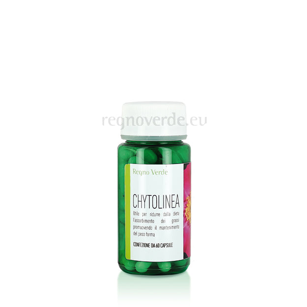 CHYTOLINEA