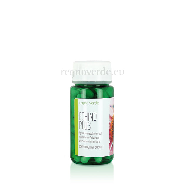 ECHINO PLUS