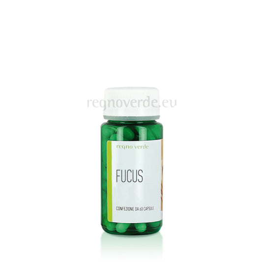 FUCUS