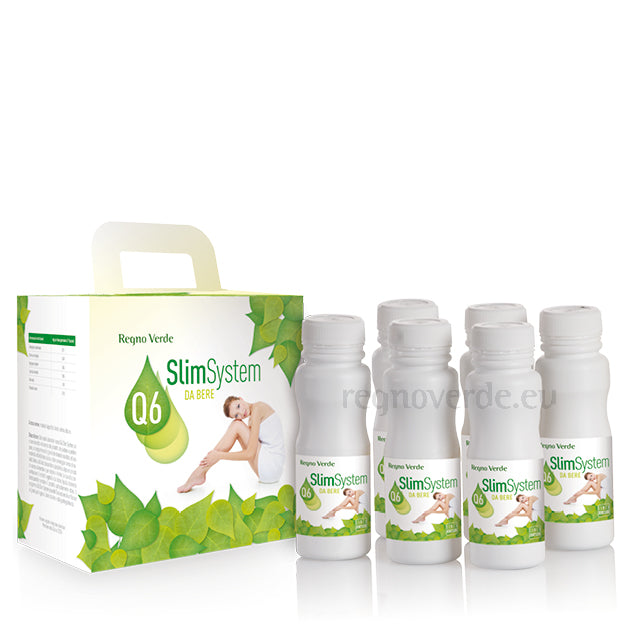 Q6 SLIM SYSTEM